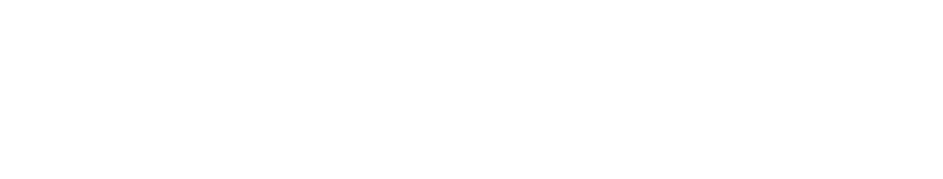 Logo Falcon